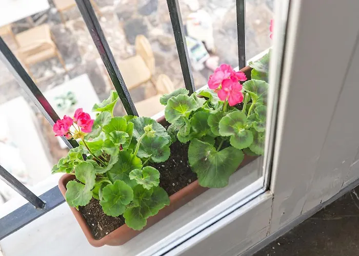 Apartamento Casa De Comedias Boutique *